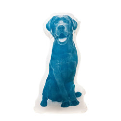 Labrador Cushions - Decorative Pillows