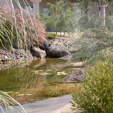 Water Features