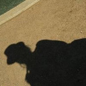 Kat Mendenhall's photo