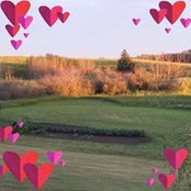 Sandra Primeau Fiddler's photo