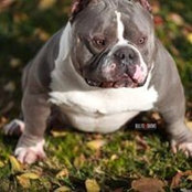Guille Gonzalez's photo