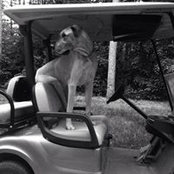 Jonathan Henley's photo