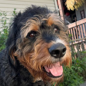 Matthias Lebherz's photo
