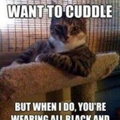 Amy Ryan's photo