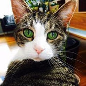 Casie Lyon-Pricinsky's photo