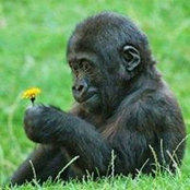 Patricia Powell's photo