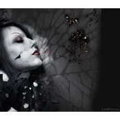Vo Vi's photo