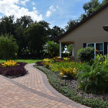 Nancy's Pomegranate Manor