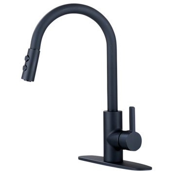 Runfine Single-Handle Pull Down Kitchen Faucet, Matte Black