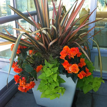 container gardening