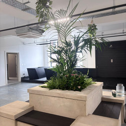 Stoke Newington Saunas - Outdoor Plant Pots & Planters