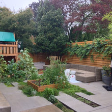 Patio Garden