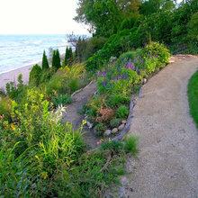 Lake Bank