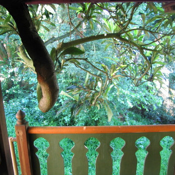 Taj Mahal treehouse