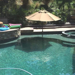 Bionizer's Ultimate Eco Pool System - Hot Tub And Pool Supplies