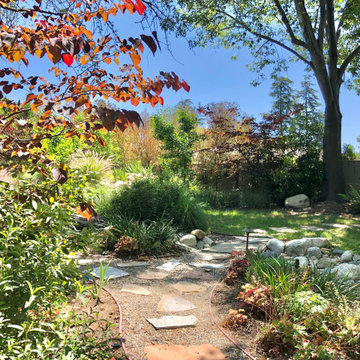 Southern California Forest Garden