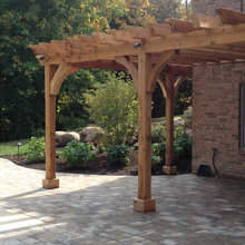 Trellis Design