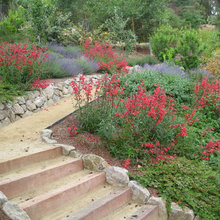 Backyard Landscape