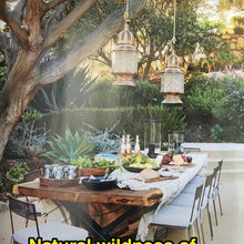 outdoor dining area
