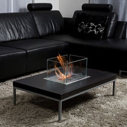 Bio-Blaze INSERT TABLE 17'' x 11'' Bio-Ethanol Fireplace BB-IT - Indoor Fireplaces