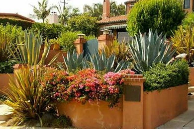 Photo of a mediterranean landscaping in Santa Barbara.