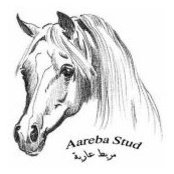 AarebaStud Arabian's photo