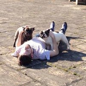 Oscar Eavis's photo