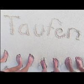 Matt Taufen's photo