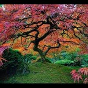 Amanda Wayne's photo