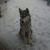 Lori Atherton's photo