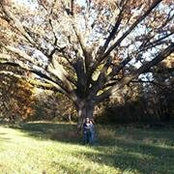 Trademark Farm's photo