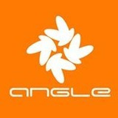 Angle World LLC