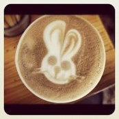 Lienka Corrigan's photo