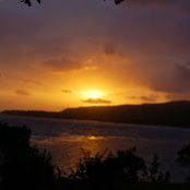 rosemary moore's photo