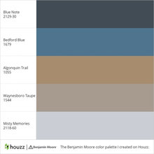 Paint Color