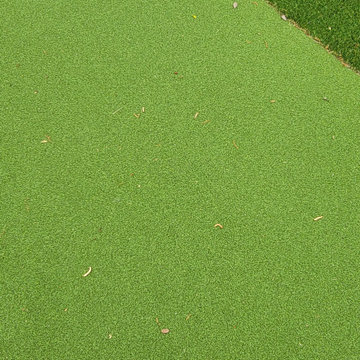 Magical Pool and Golf in Memorial