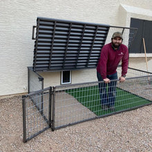 Dog Run