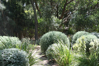 Contemporary garden in Geelong.
