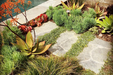 Inspiration for a coastal landscaping in Los Angeles.