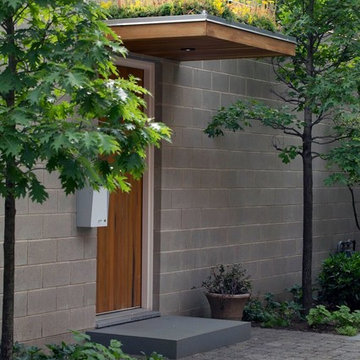 Mid-Century Modern Revival