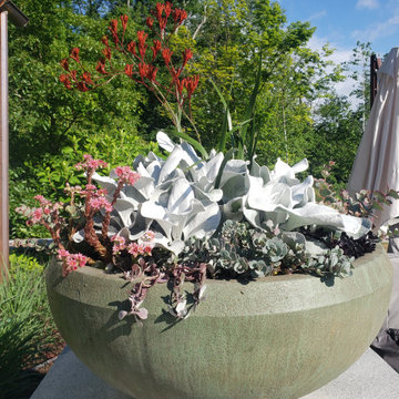 Annual Containers