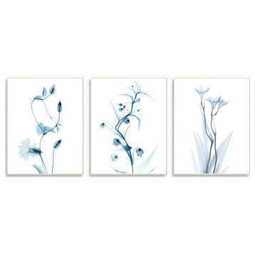 Aesthetic Minimalist Blue Botanical Floral Design, 3pc, each 10 x 15