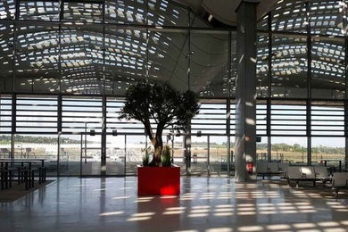 Grands Bacs à arbre STEELAB en aluminium – Gare TGV Montpellier