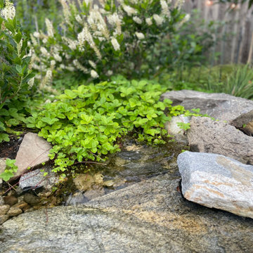 Urban Oasis, Portland, Me