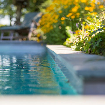 Livingpool Korschenbroich