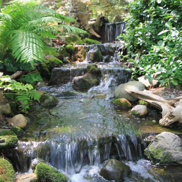 Pond Paradise Designs assorted photos