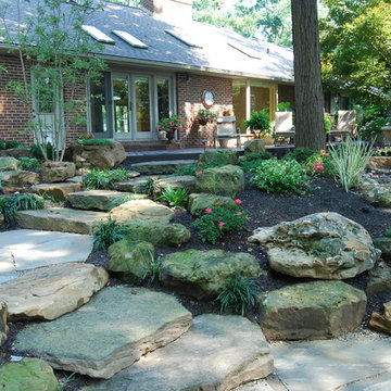 Natural Backyard