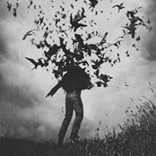 Andres Mariuzzo's photo