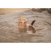 Laura Hoffman's photo