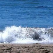 Teresa Garcia Walsh's photo